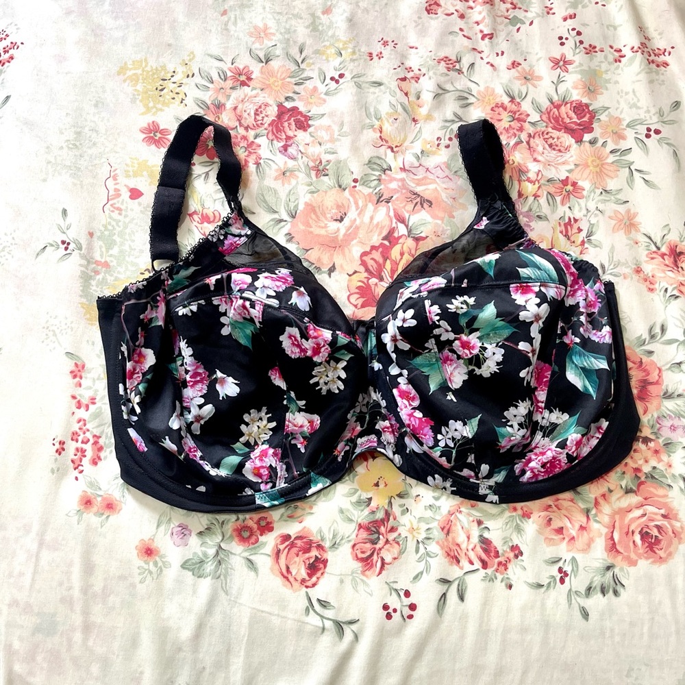 Goddess Kayla Bra Size 34M